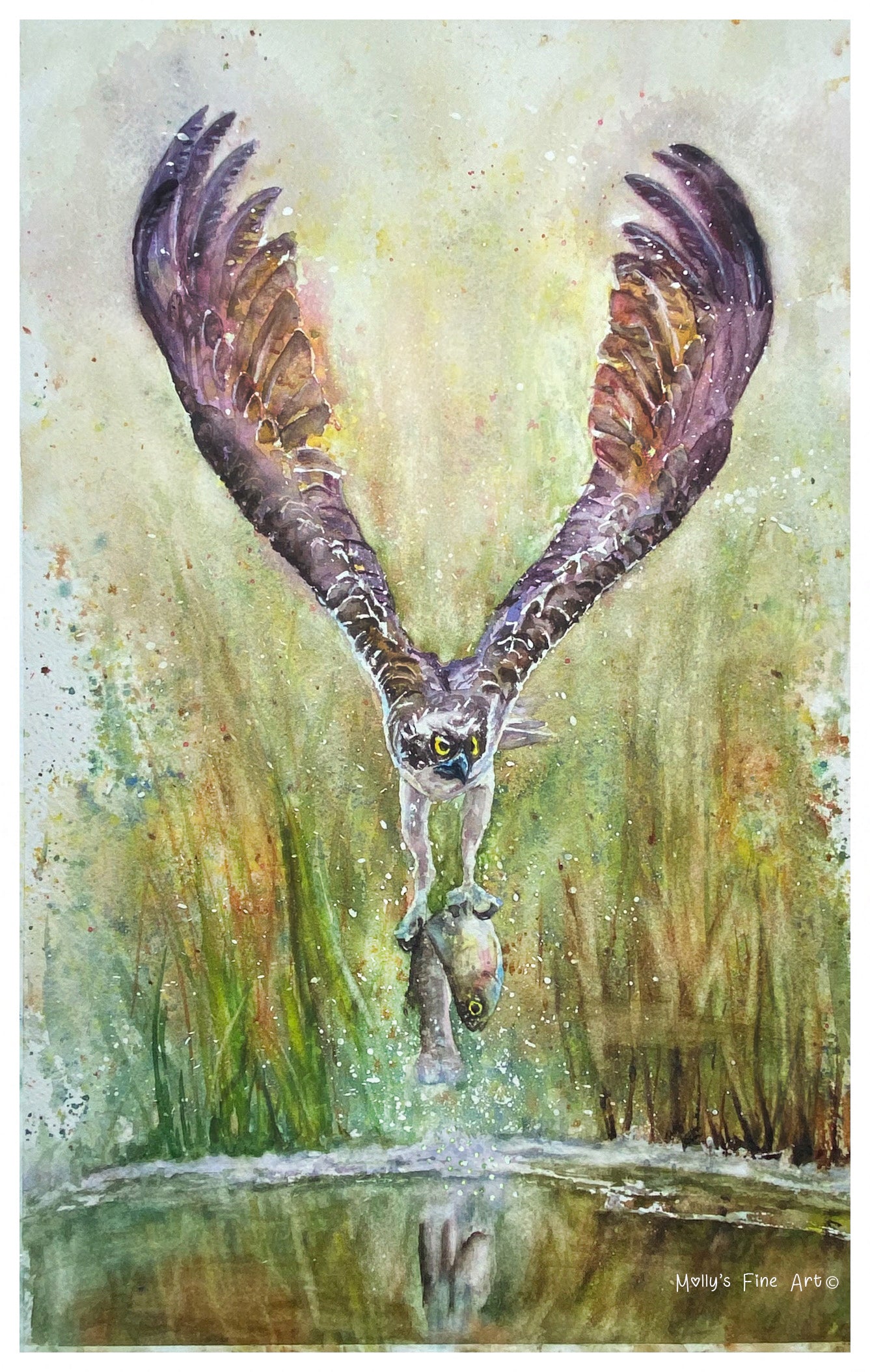 "Gone Fishing" Osprey Watercolor Giclée Art Print by Molly's Fine Art