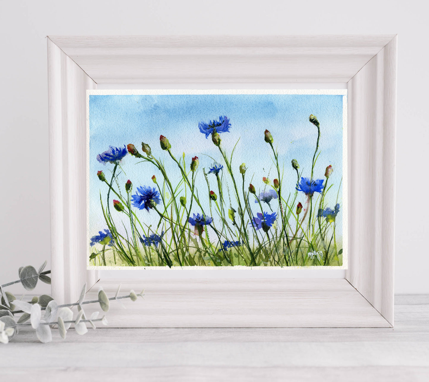"Reaching for the Sun" Cornflowers Original Watercolor by Molly's Fine Art
