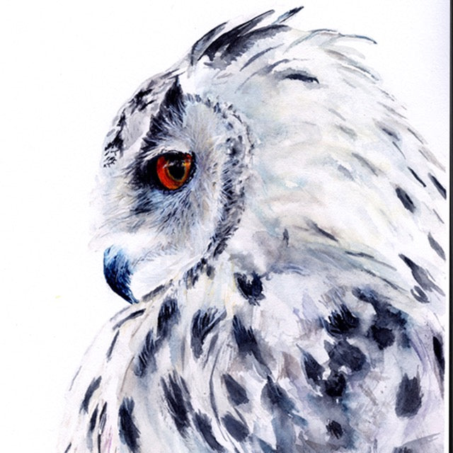 "I See You" Watercolor Snowy Owl Giclée Fine Art Print by Molly's Fine Art