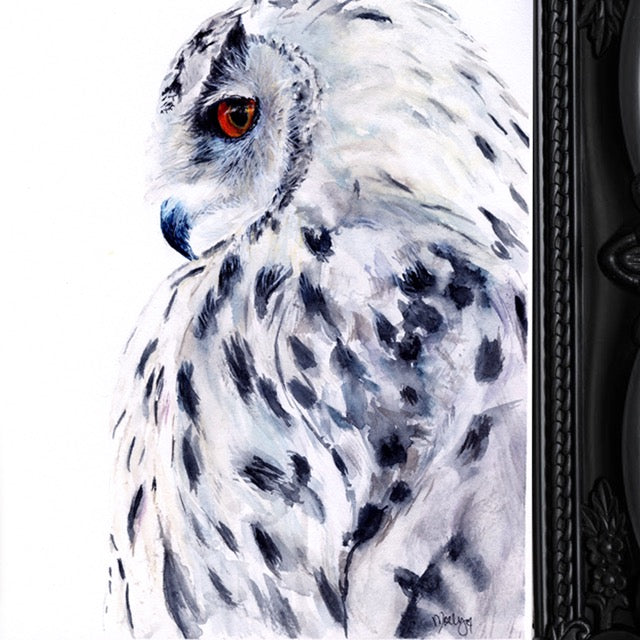 "I See You" Watercolor Snowy Owl Giclée Fine Art Print by Molly's Fine Art