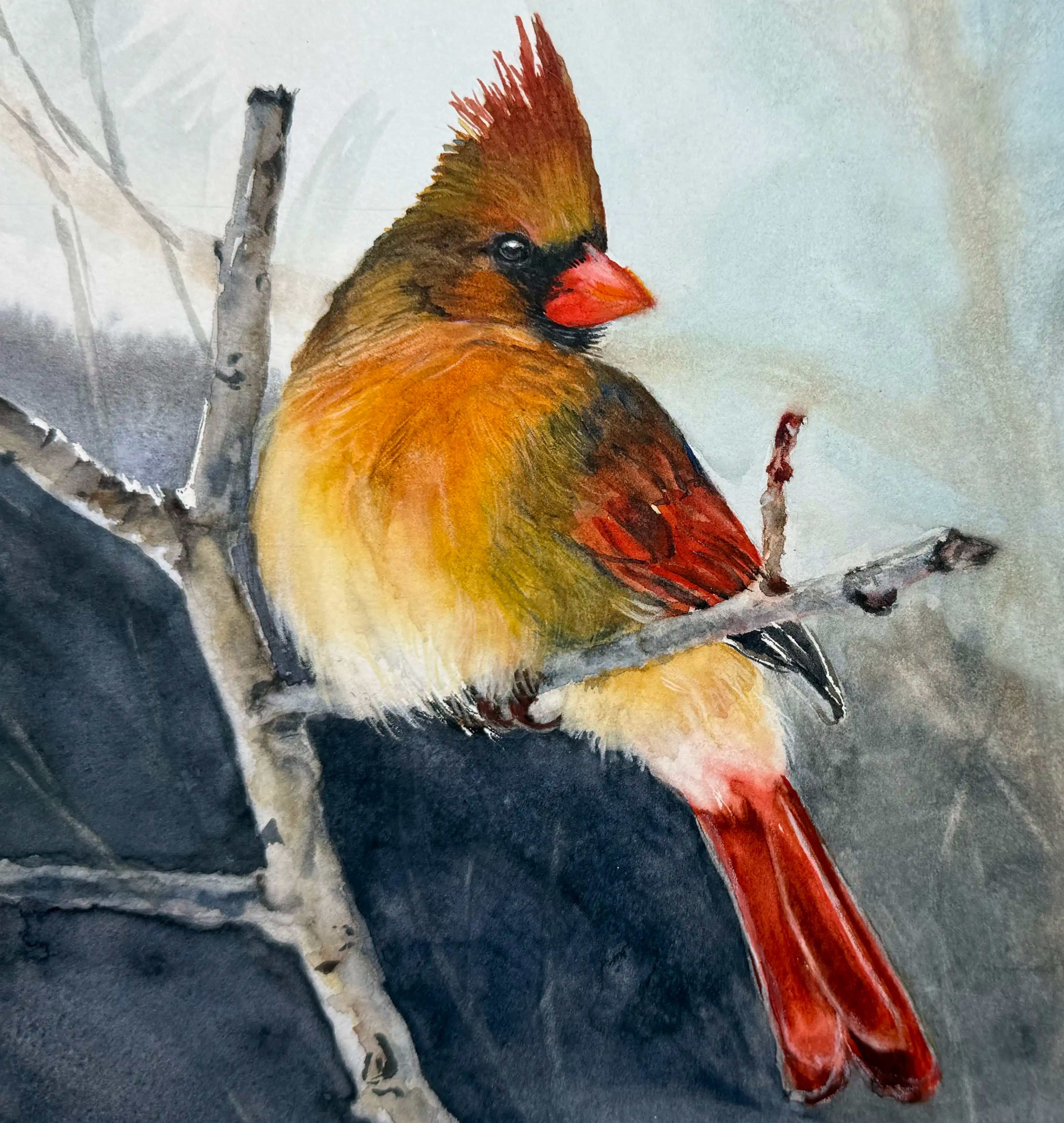 Birds and Wildlife