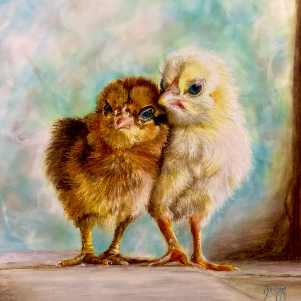 Mollys Fine Art Giclee Art Prints