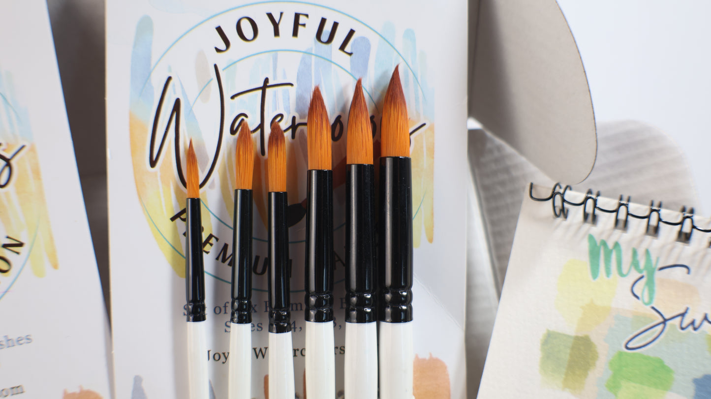 Joyful Watercolor Beginner Art Box Info Below 👇