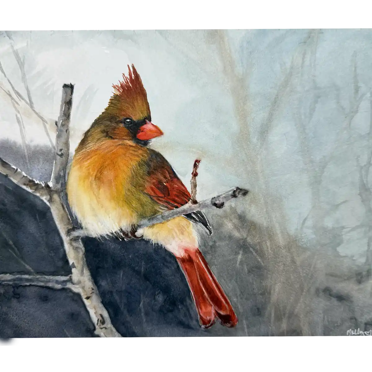 Female Cardinal Wall Art Print